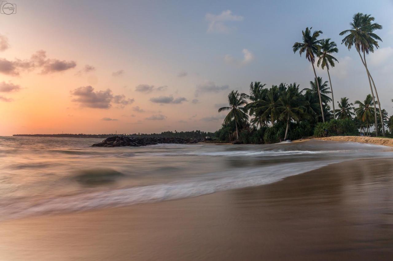 Oyo 459 Barasti Beach Resort Kalutara Buitenkant foto